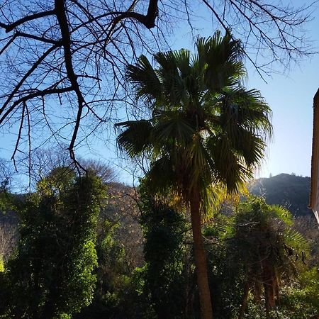 Casa Bienvenida - La Naturaleza Carcagente Exterior foto